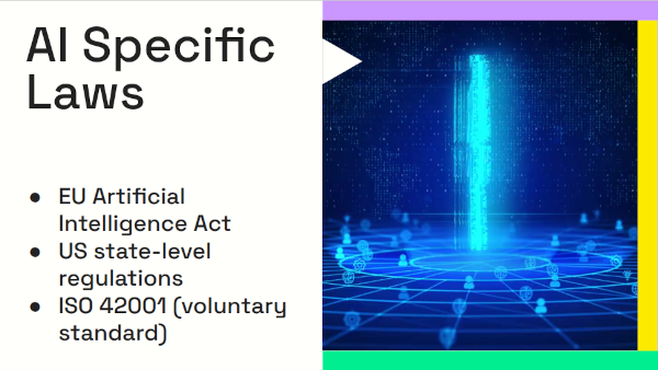 AI specific laws - EU Artificial Intelligence Act, US state regulations, IS42001